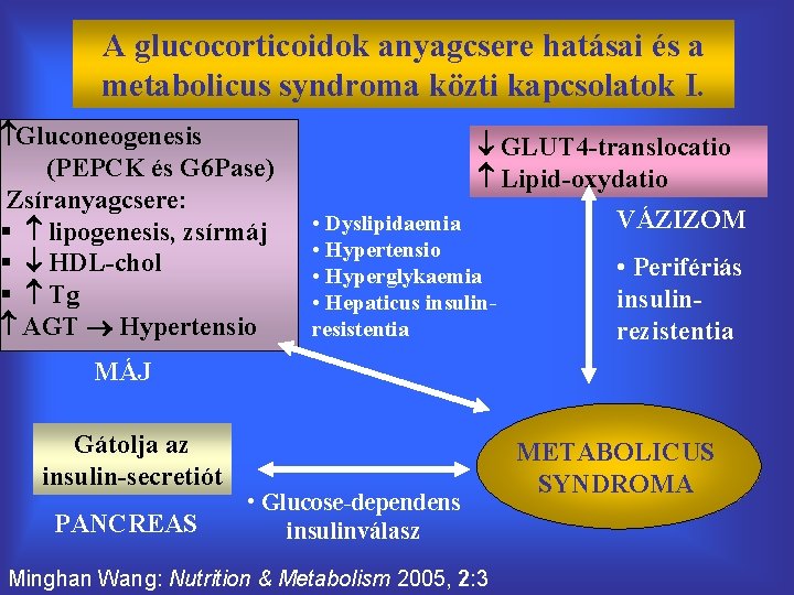 A glucocorticoidok anyagcsere hatásai és a metabolicus syndroma közti kapcsolatok I. Gluconeogenesis (PEPCK és