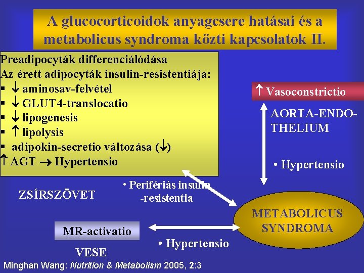 A glucocorticoidok anyagcsere hatásai és a metabolicus syndroma közti kapcsolatok II. Preadipocyták differenciálódása Az