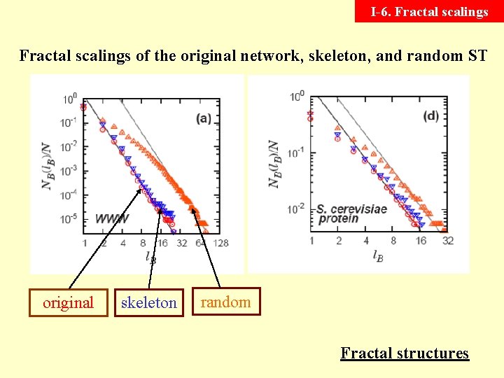 I-6. Fractal scalings of the original network, skeleton, and random ST original skeleton random