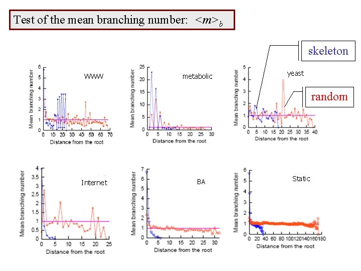 Test of the mean branching number: <m>b skeleton WWW metabolic yeast random Internet BA