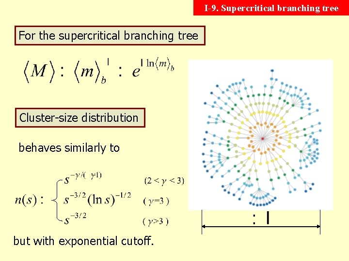 I-9. Supercritical branching tree For the supercritical branching tree Cluster-size distribution behaves similarly to
