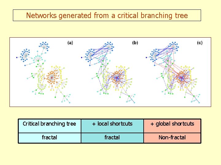 Networks generated from a critical branching tree Critical branching tree + local shortcuts +