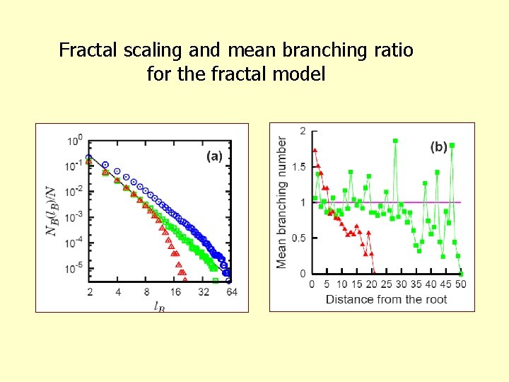 Fractal scaling and mean branching ratio for the fractal model 