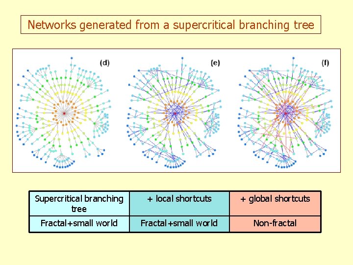 Networks generated from a supercritical branching tree Supercritical branching tree + local shortcuts +