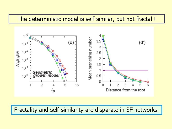 The deterministic model is self-similar, but not fractal ! Fractality and self-similarity are disparate
