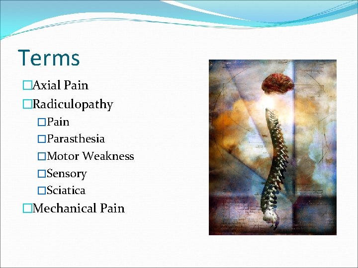 Terms �Axial Pain �Radiculopathy �Pain �Parasthesia �Motor Weakness �Sensory �Sciatica �Mechanical Pain 