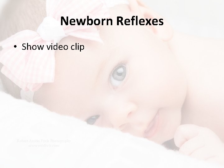 Newborn Reflexes • Show video clip 