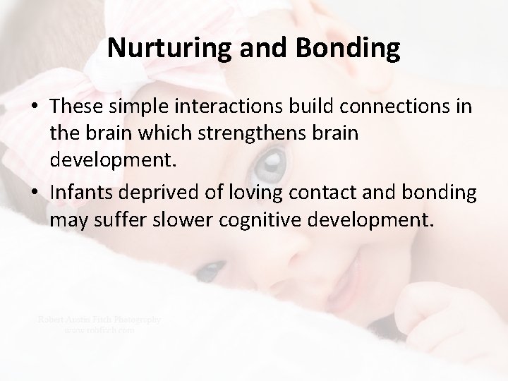 Nurturing and Bonding • These simple interactions build connections in the brain which strengthens