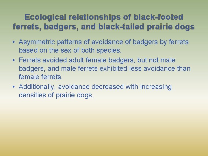 Ecological relationships of black-footed ferrets, badgers, and black-tailed prairie dogs • Asymmetric patterns of