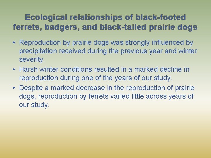 Ecological relationships of black-footed ferrets, badgers, and black-tailed prairie dogs • Reproduction by prairie