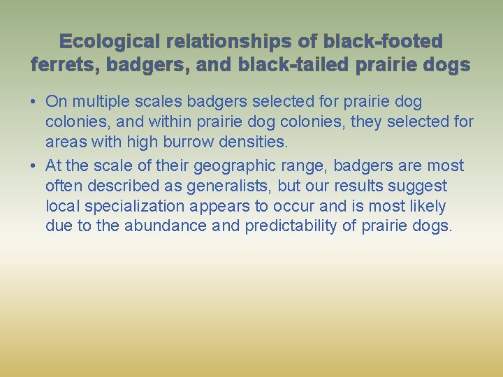Ecological relationships of black-footed ferrets, badgers, and black-tailed prairie dogs • On multiple scales