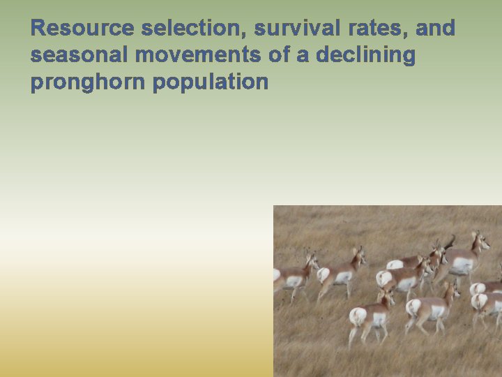 Resource selection, survival rates, and seasonal movements of a declining pronghorn population 