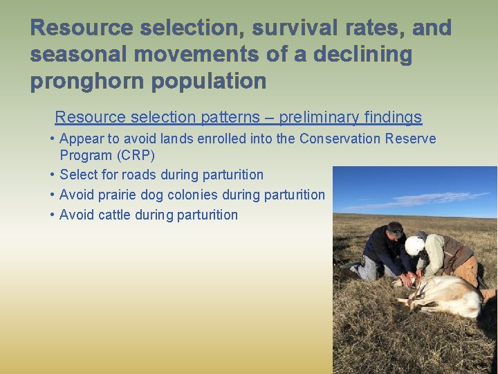 Resource selection, survival rates, and seasonal movements of a declining pronghorn population Resource selection