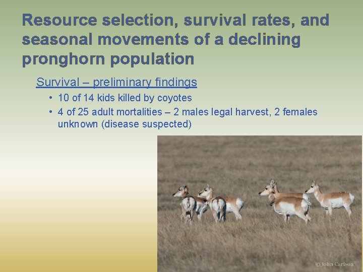 Resource selection, survival rates, and seasonal movements of a declining pronghorn population Survival –