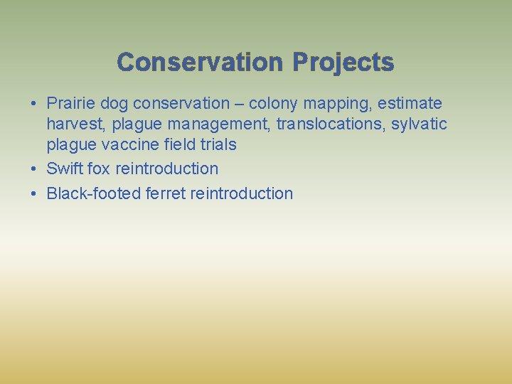 Conservation Projects • Prairie dog conservation – colony mapping, estimate harvest, plague management, translocations,