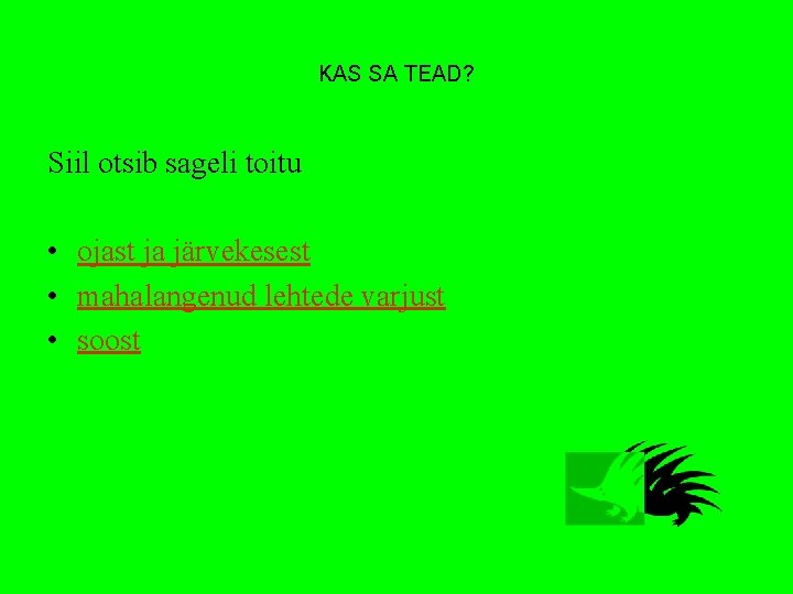 KAS SA TEAD? Siil otsib sageli toitu • ojast ja järvekesest • mahalangenud lehtede