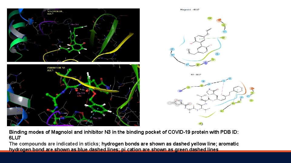 Binding modes of Magnolol and inhibitor N 3 in the binding pocket of COVID-19