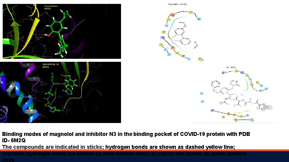 Binding modes of magnolol and inhibitor N 3 in the binding pocket of COVID-19