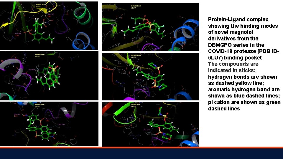 Protein-Ligand complex showing the binding modes of novel magnolol derivatives from the DBMGPO series
