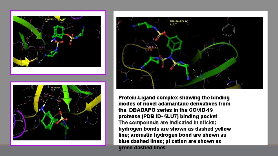 Protein-Ligand complex showing the binding modes of novel adamantane derivatives from the DBADAPO series