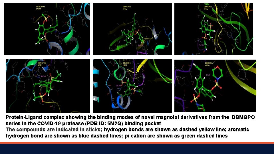 Protein-Ligand complex showing the binding modes of novel magnolol derivatives from the DBMGPO series