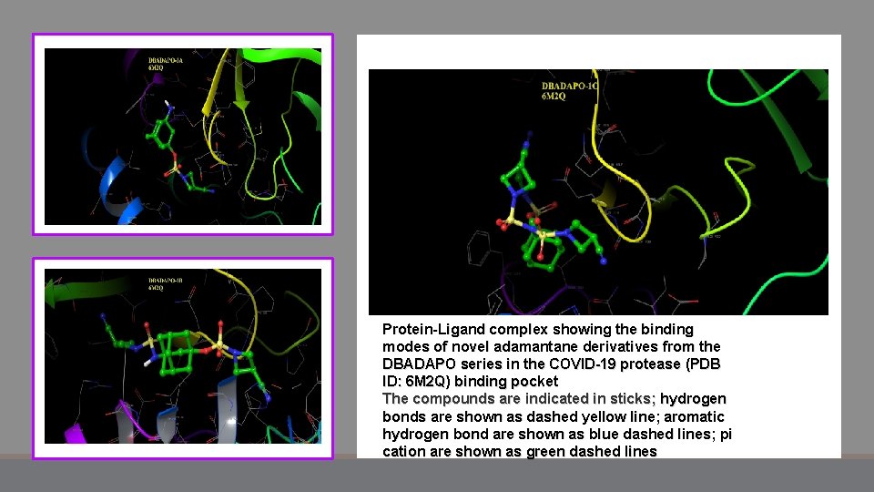 Protein-Ligand complex showing the binding modes of novel adamantane derivatives from the DBADAPO series