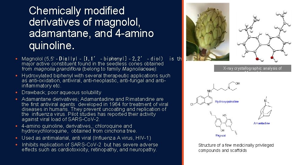 Chemically modified derivatives of magnolol, adamantane, and 4 -amino quinoline. • Magnolol (5, 5′‐Diallyl‐[1,