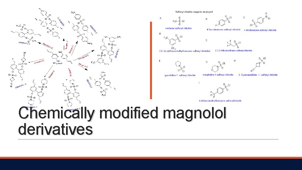 Chemically modified magnolol derivatives 