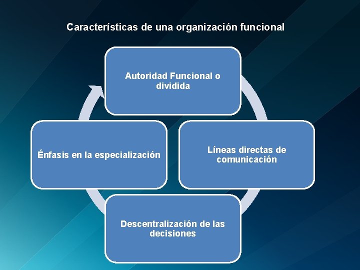 Características de una organización funcional Autoridad Funcional o dividida Énfasis en la especialización Líneas