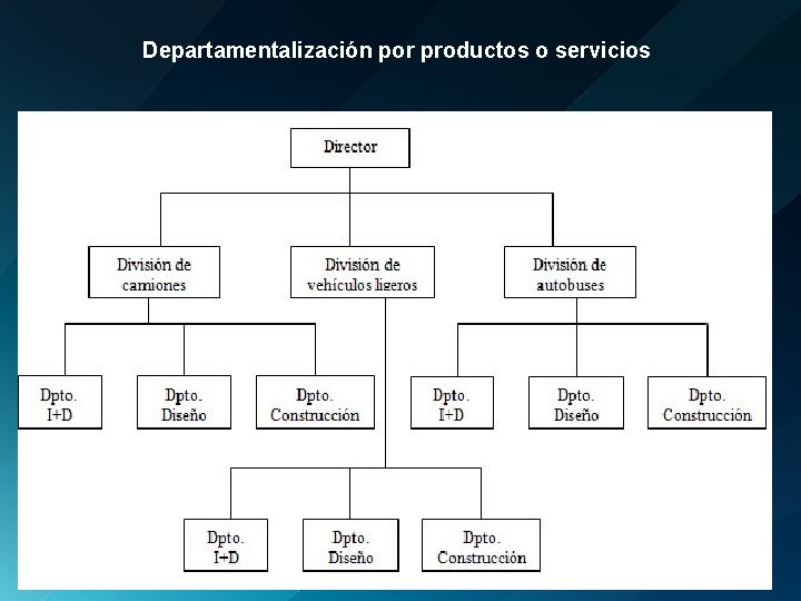 Departamentalización por productos o servicios 