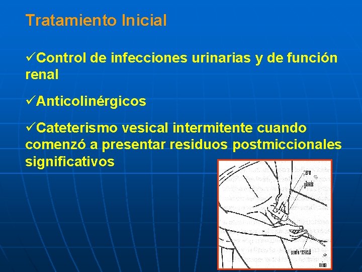 Tratamiento Inicial üControl de infecciones urinarias y de función renal üAnticolinérgicos üCateterismo vesical intermitente
