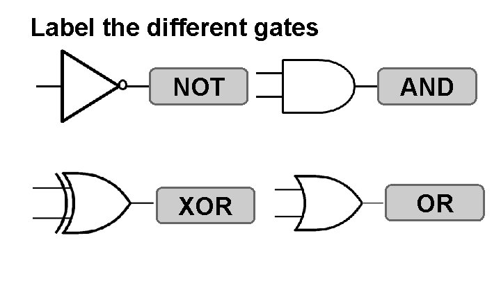 Label the different gates NOT XOR AND OR 