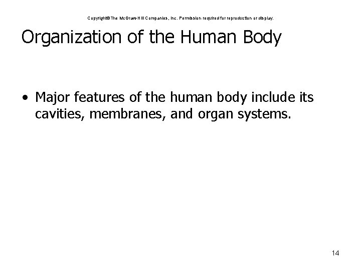 Copyright The Mc. Graw-Hill Companies, Inc. Permission required for reproduction or display. Organization of