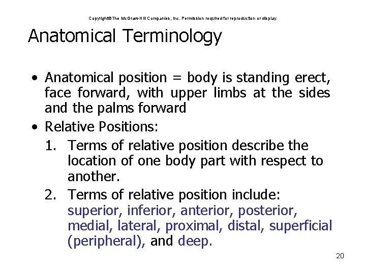 Copyright The Mc. Graw-Hill Companies, Inc. Permission required for reproduction or display. Anatomical Terminology