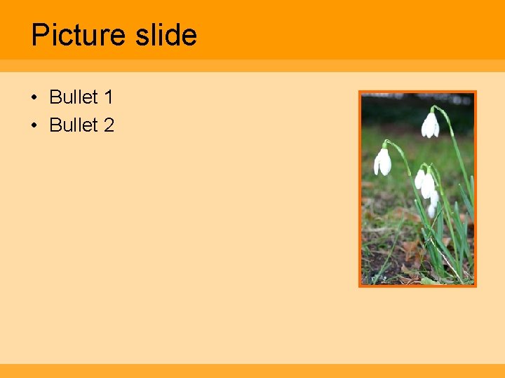 Picture slide • Bullet 1 • Bullet 2 