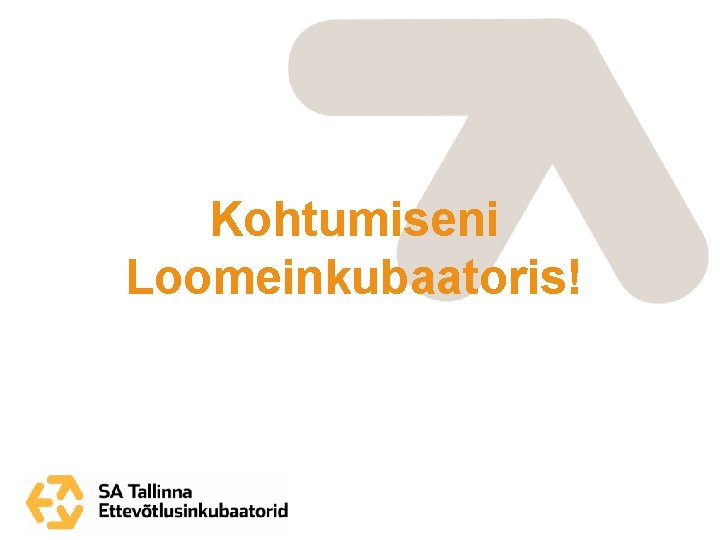 Kohtumiseni Loomeinkubaatoris! 