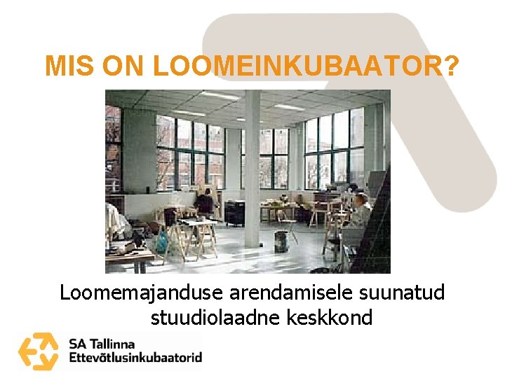 MIS ON LOOMEINKUBAATOR? Loomemajanduse arendamisele suunatud stuudiolaadne keskkond 