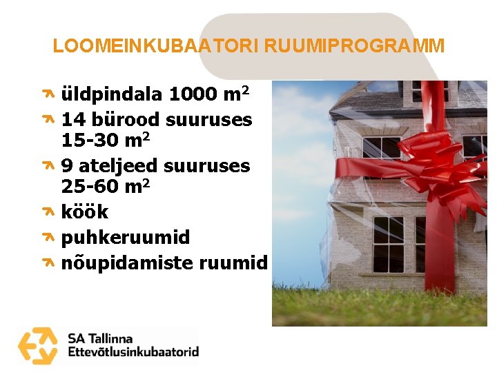 LOOMEINKUBAATORI RUUMIPROGRAMM üldpindala 1000 m 2 14 bürood suuruses 15 -30 m 2 9