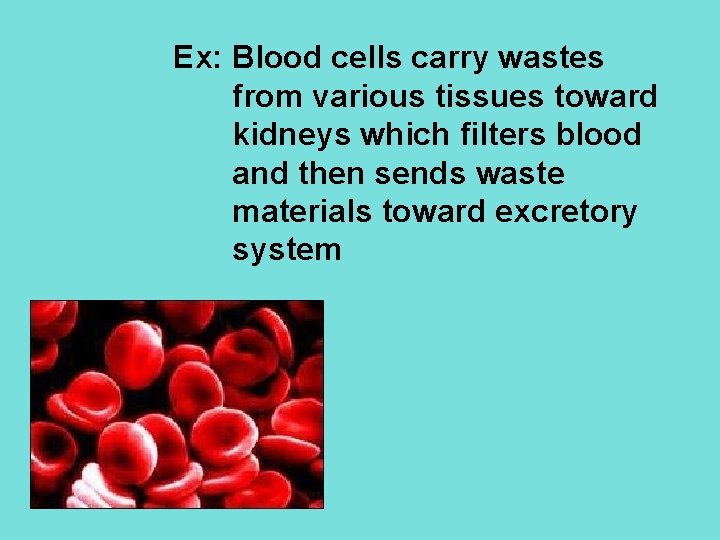 Ex: Blood cells carry wastes from various tissues toward kidneys which filters blood and