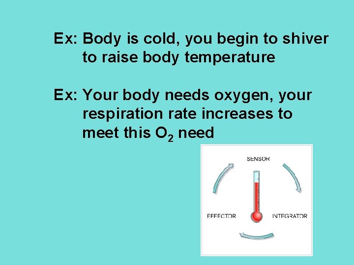 Ex: Body is cold, you begin to shiver to raise body temperature Ex: Your