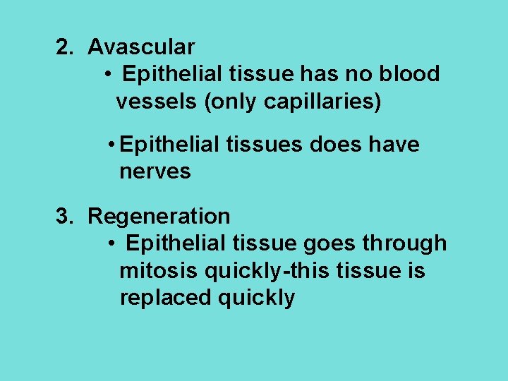 2. Avascular • Epithelial tissue has no blood vessels (only capillaries) • Epithelial tissues