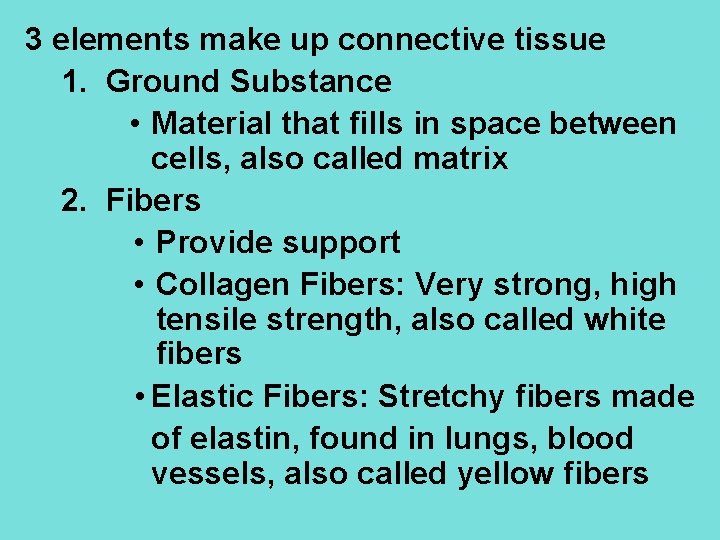 3 elements make up connective tissue 1. Ground Substance • Material that fills in