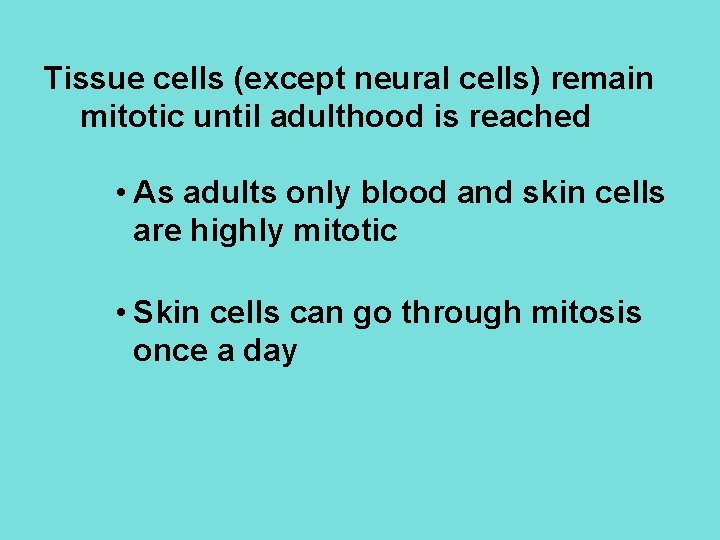 Tissue cells (except neural cells) remain mitotic until adulthood is reached • As adults
