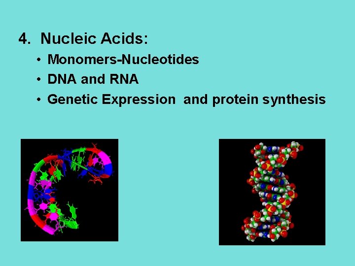 4. Nucleic Acids: • Monomers-Nucleotides • DNA and RNA • Genetic Expression and protein