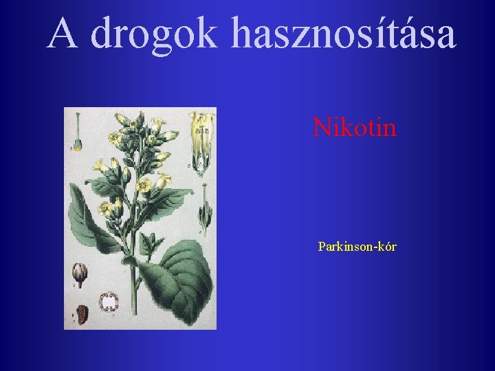 A drogok hasznosítása Nikotin Parkinson-kór 