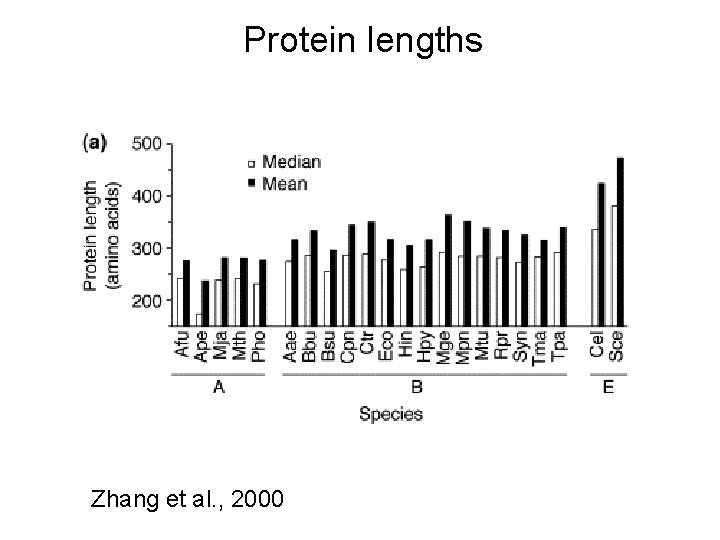 Protein lengths Zhang et al. , 2000 