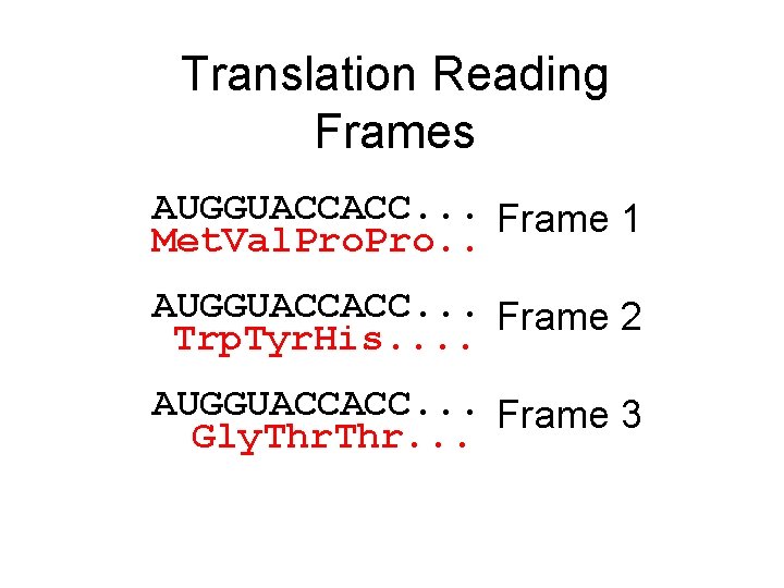 Translation Reading Frames AUGGUACCACC. . . Frame 1 Met. Val. Pro. . AUGGUACCACC. .