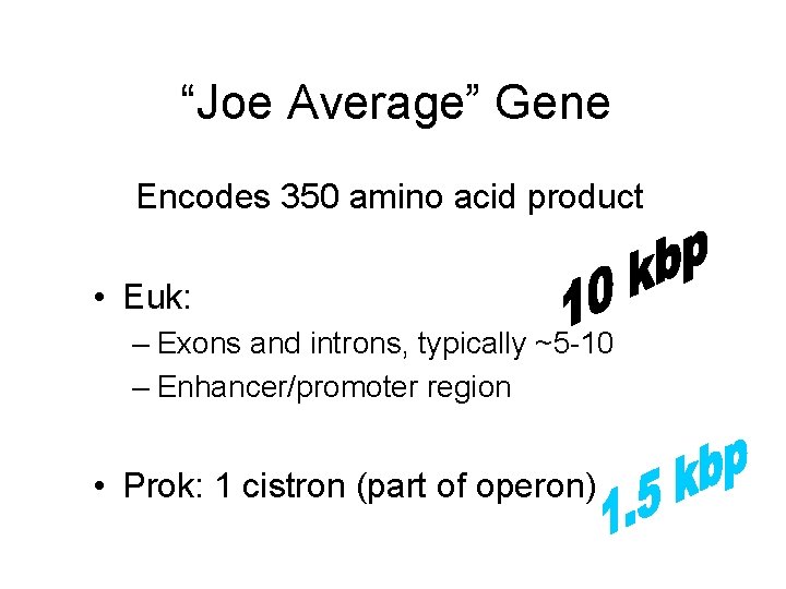 “Joe Average” Gene Encodes 350 amino acid product • Euk: – Exons and introns,