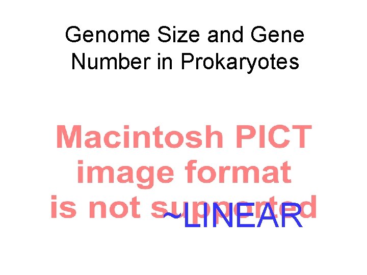 Genome Size and Gene Number in Prokaryotes ~LINEAR 