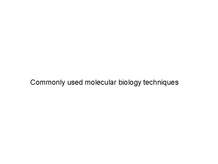 Commonly used molecular biology techniques 